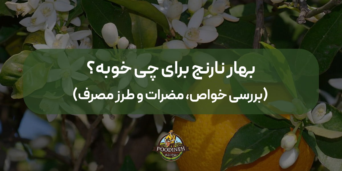 خواص بهار نارنج