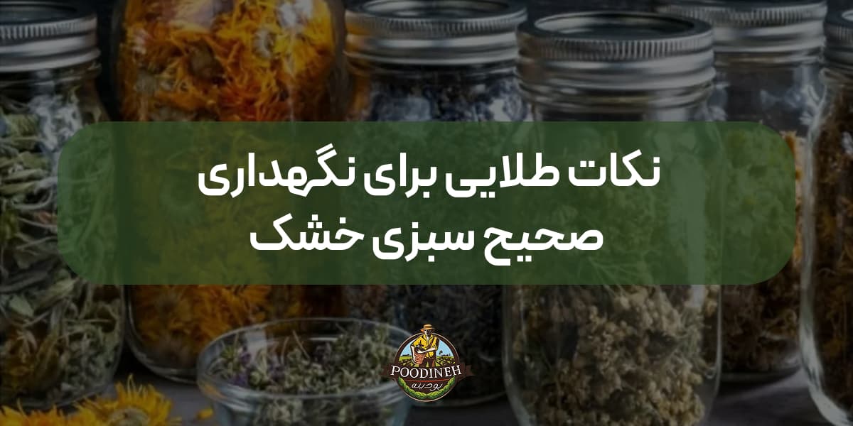نگهداری سبزی خشک