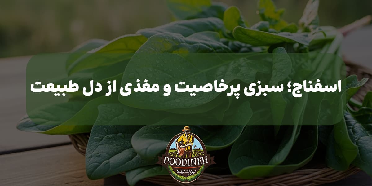 اسفناج، سبزی پر خاصیت