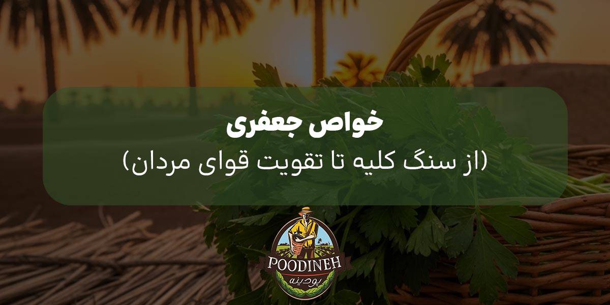 خواص جعفری