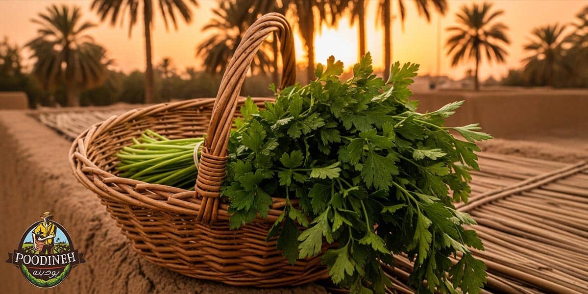 خواص جعفری