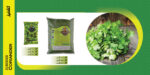 گشنیز خشک 400گرمی - Image 2