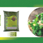 پودر نعنا 400 گرمی