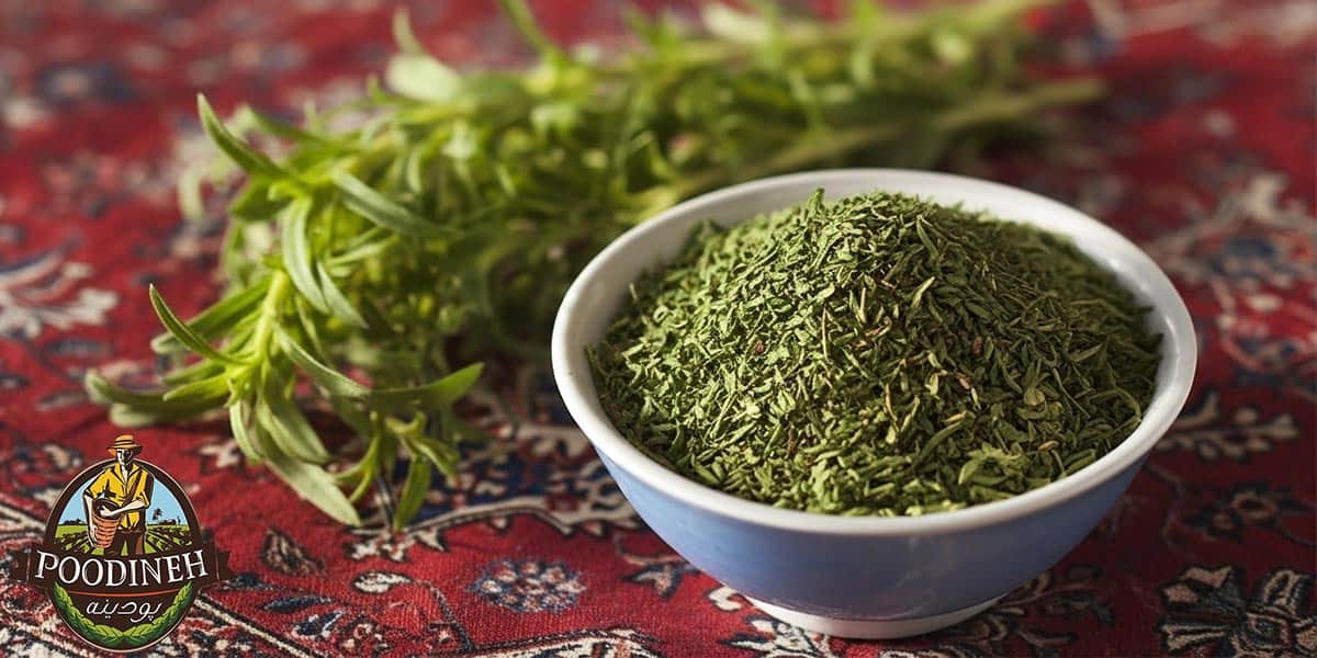 مهم ترین خواص مرزه خشک