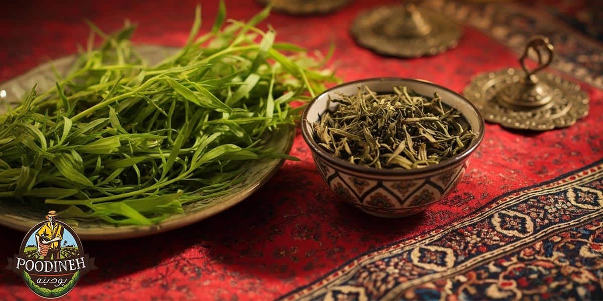 خواص ترخون و خواص ترخون خشک 