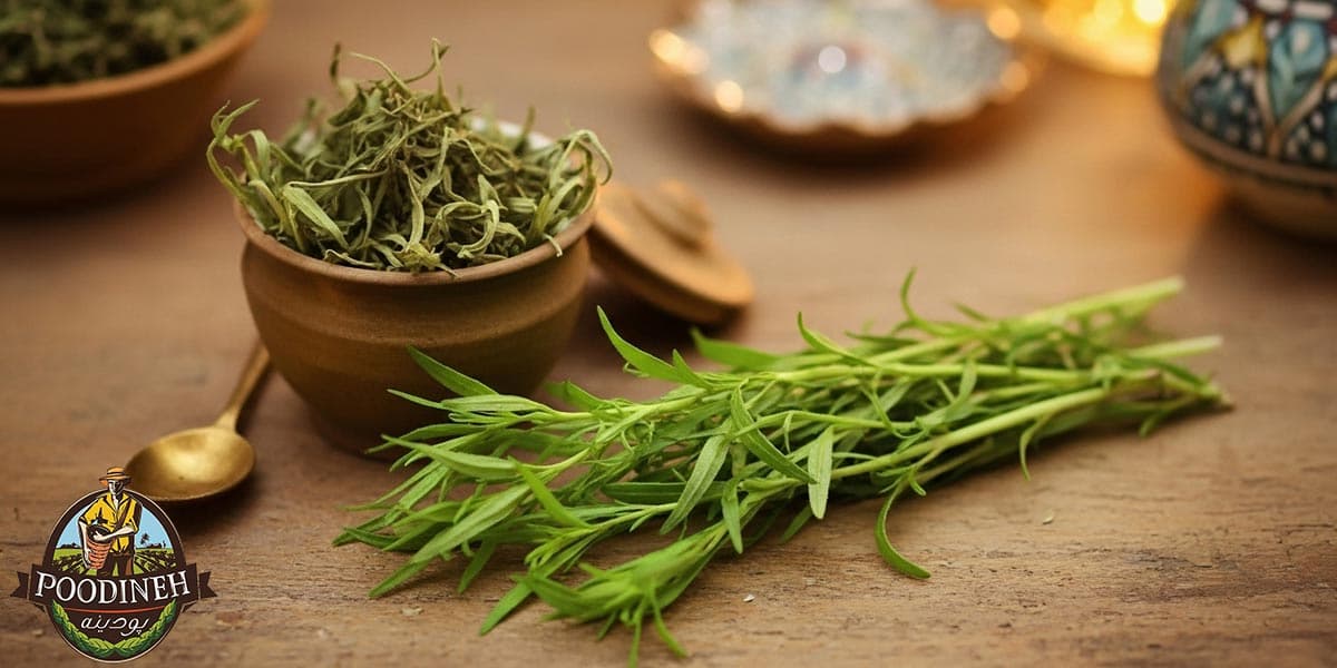 خواص ترخون در طب سنتی و خواص ترخون خشک