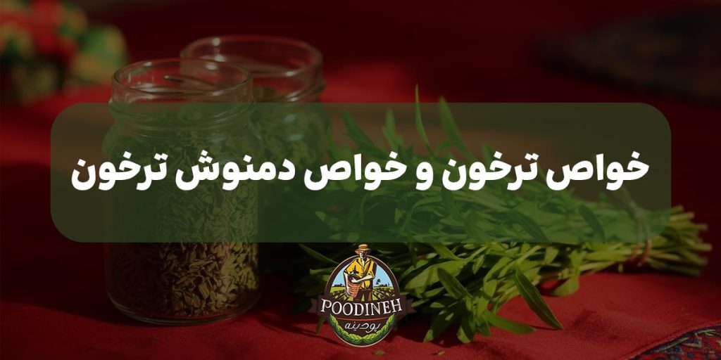 خواص ترخون و خواص دمنوش ترخون
