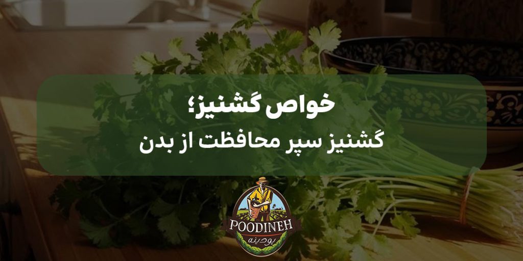 خواص گشنیز