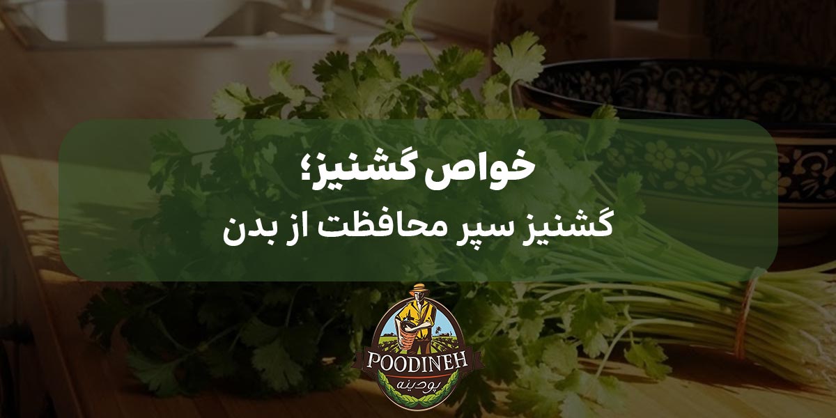 خواص گشنیز