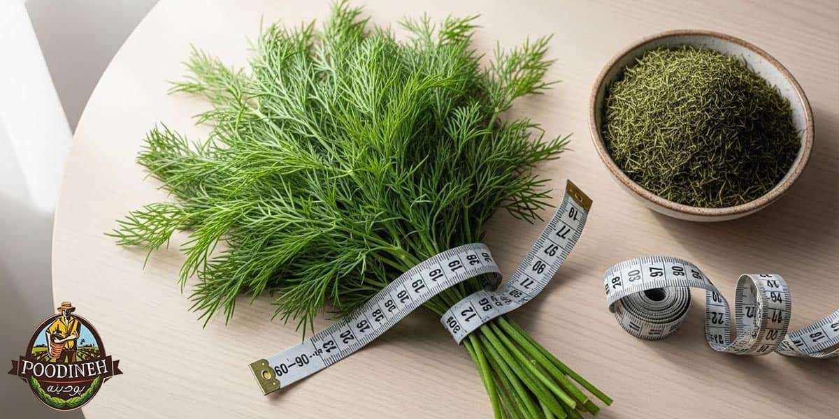 خواص شوید خشک برای لاغری