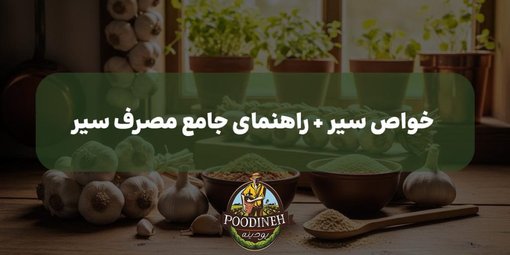 خواص سیر
