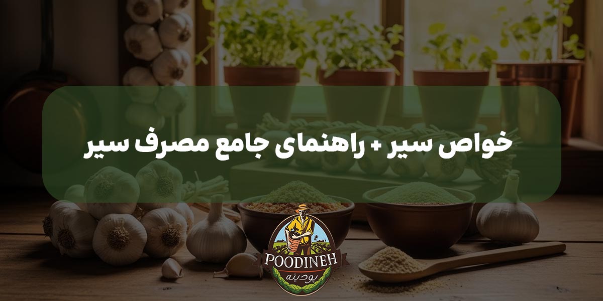 خواص سیر