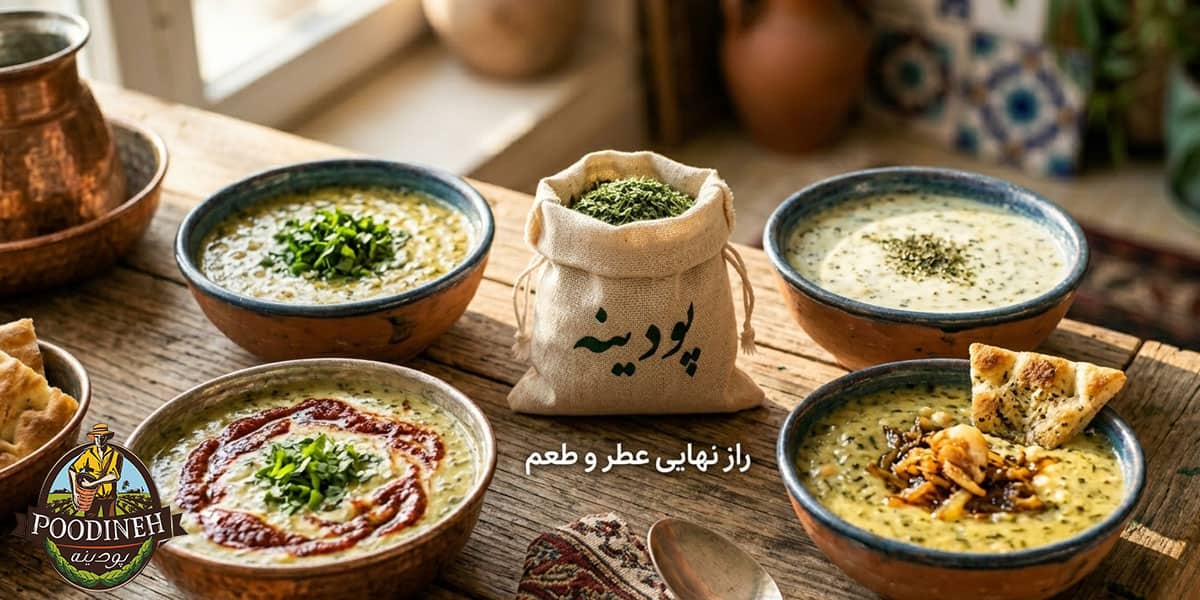 تهبه انواع سوپ گشنیز مجلسی و ساده تبریز